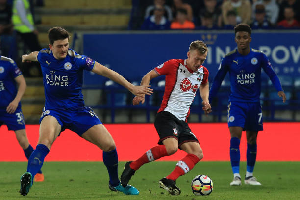 动的多样性 动的多样性